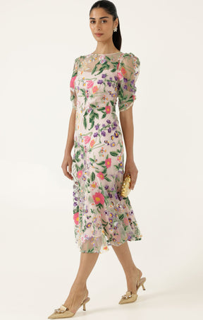 Dresses Events CARDELINA DRESS