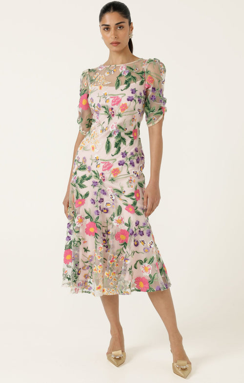 Dresses Events CARDELINA DRESS