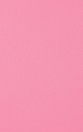 Bags OS / PINK CELESTE CURVED CLUTCH IN PINK