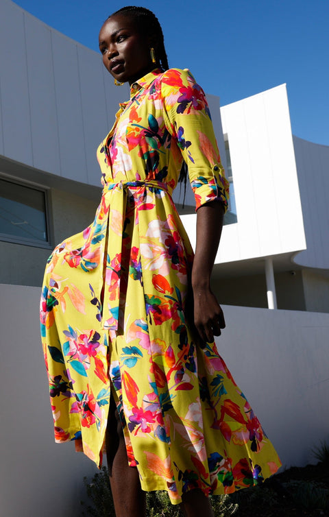Sacha Drake Rainbow Eater Dress
