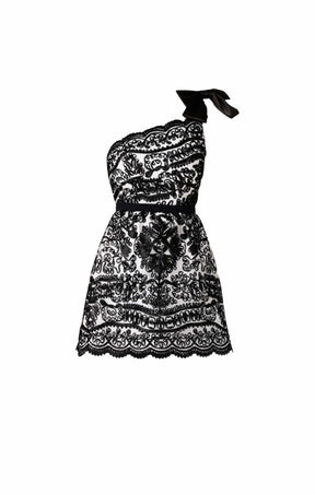 Dresses CHICKADEE MINI DRESS